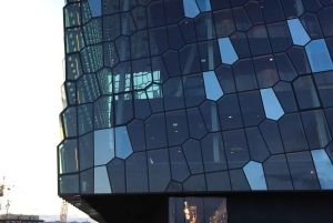 Reykjavik City - privat halvdagstur