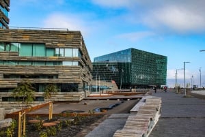 Reykjavik City - privat halvdagstur