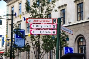 Reykjavik City - privat halvdagstur
