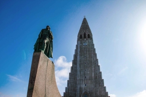 Reykjavik City - privat halvdagstur