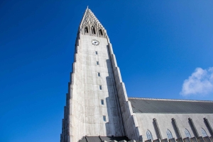 Reykjavik City - privat halvdagstur