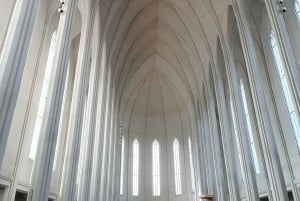 Reykjavik City - privat halvdagstur