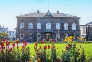 Reykjavik City - privat halvdagstur