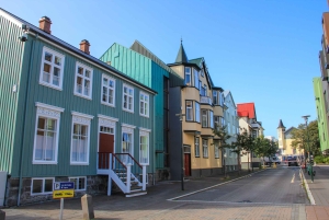 Reykjavik City - privat halvdagstur