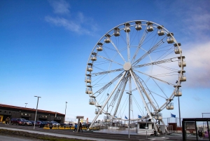 Reykjavik City - privat halvdagstur