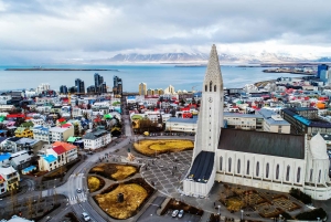 Reykjavík: City Highlights, FlyOver & Lava Show Tour