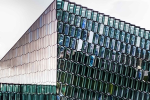 Reykjavík: City Highlights, FlyOver & Lava Show Tour