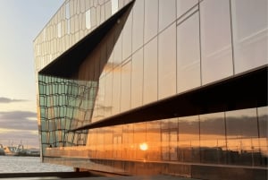 Reykjavik: City Highlights Guided Tour