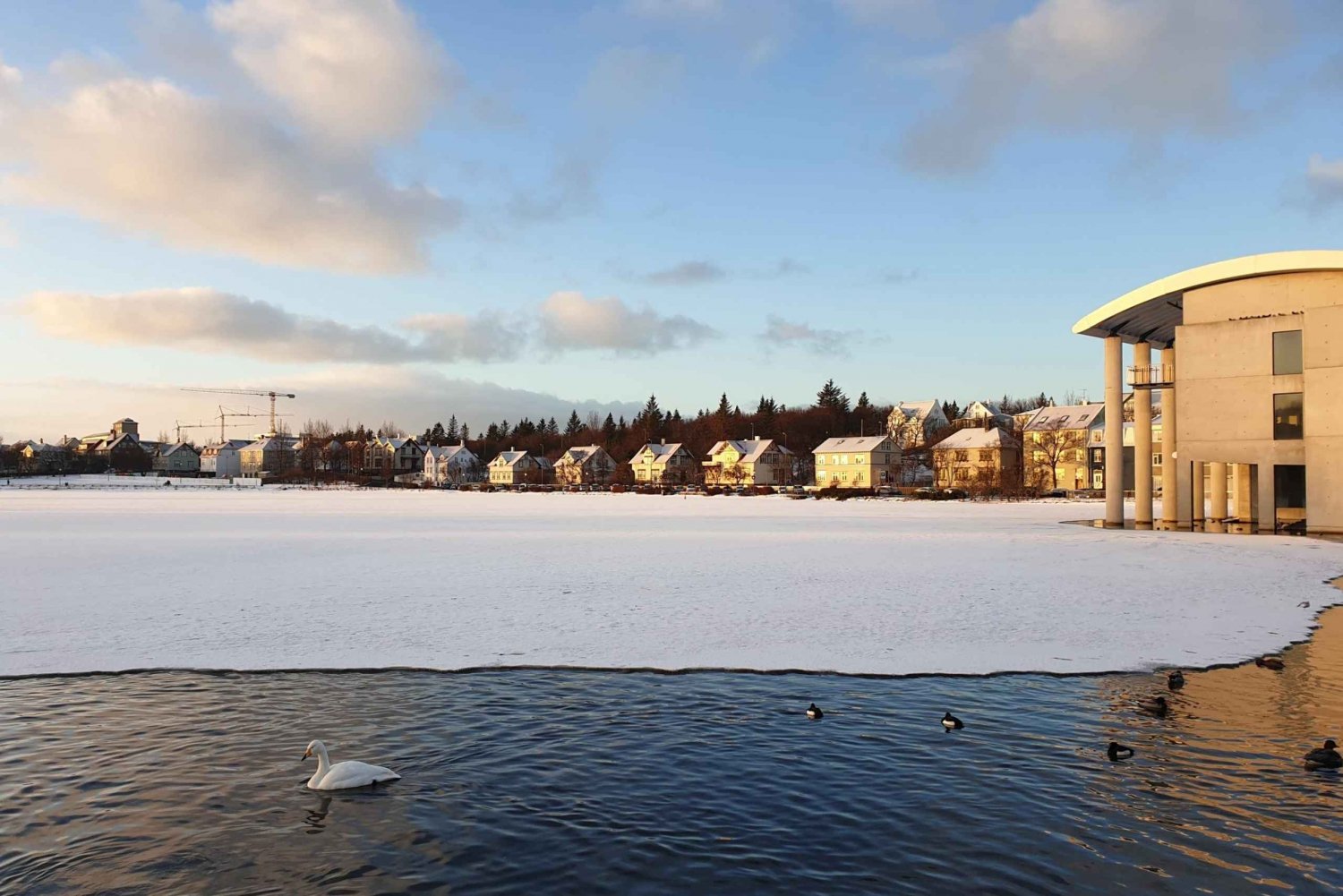 Reykjavik: City Highlights Walking Tour with a Local