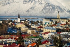 Reykjavik: First Discovery Walk and Reading Walking Tour