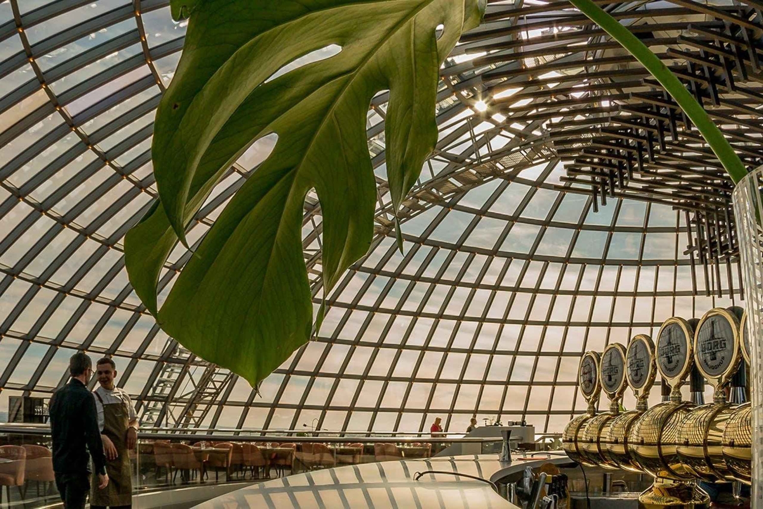 レイキャビク市内プライベートツアー：Hallgrímskirkja, Perlan & More！