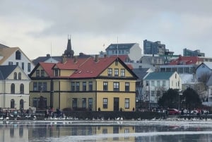 Tour privato della città di Reykjavik: Hallgrímskirkja, Perlan e altro ancora!