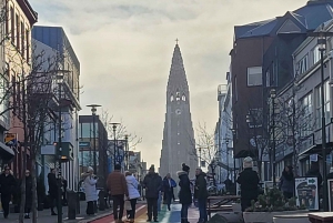 Tour privato della città di Reykjavik: Hallgrímskirkja, Perlan e altro ancora!