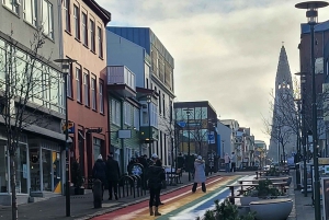 Tour privato della città di Reykjavik: Hallgrímskirkja, Perlan e altro ancora!