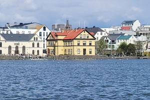 Tour privato della città di Reykjavik: Hallgrímskirkja, Perlan e altro ancora!