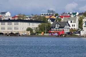 Tour privato della città di Reykjavik: Hallgrímskirkja, Perlan e altro ancora!