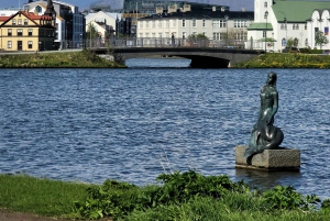 Tour privato della città di Reykjavik: Hallgrímskirkja, Perlan e altro ancora!