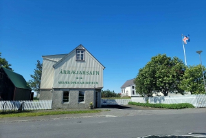 Tour privato della città di Reykjavik: Hallgrímskirkja, Perlan e altro ancora!