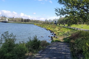 レイキャビク市内プライベートツアー：Hallgrímskirkja, Perlan & More！