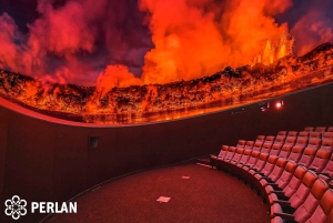 レイキャビク市内プライベートツアー：Hallgrímskirkja, Perlan & More！