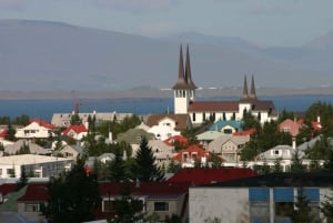 Reykjavik City Sightseeing by Minibus