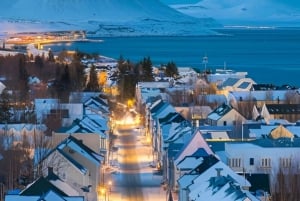 Reykjavik: City Sightseeing Tour