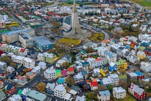 Reykjavik: Byrundtur
