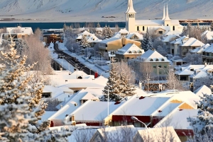 Reykjavik: Byrundtur
