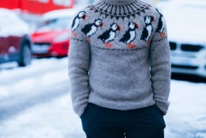 Reykjavik: City Walk Tours With Photography Services