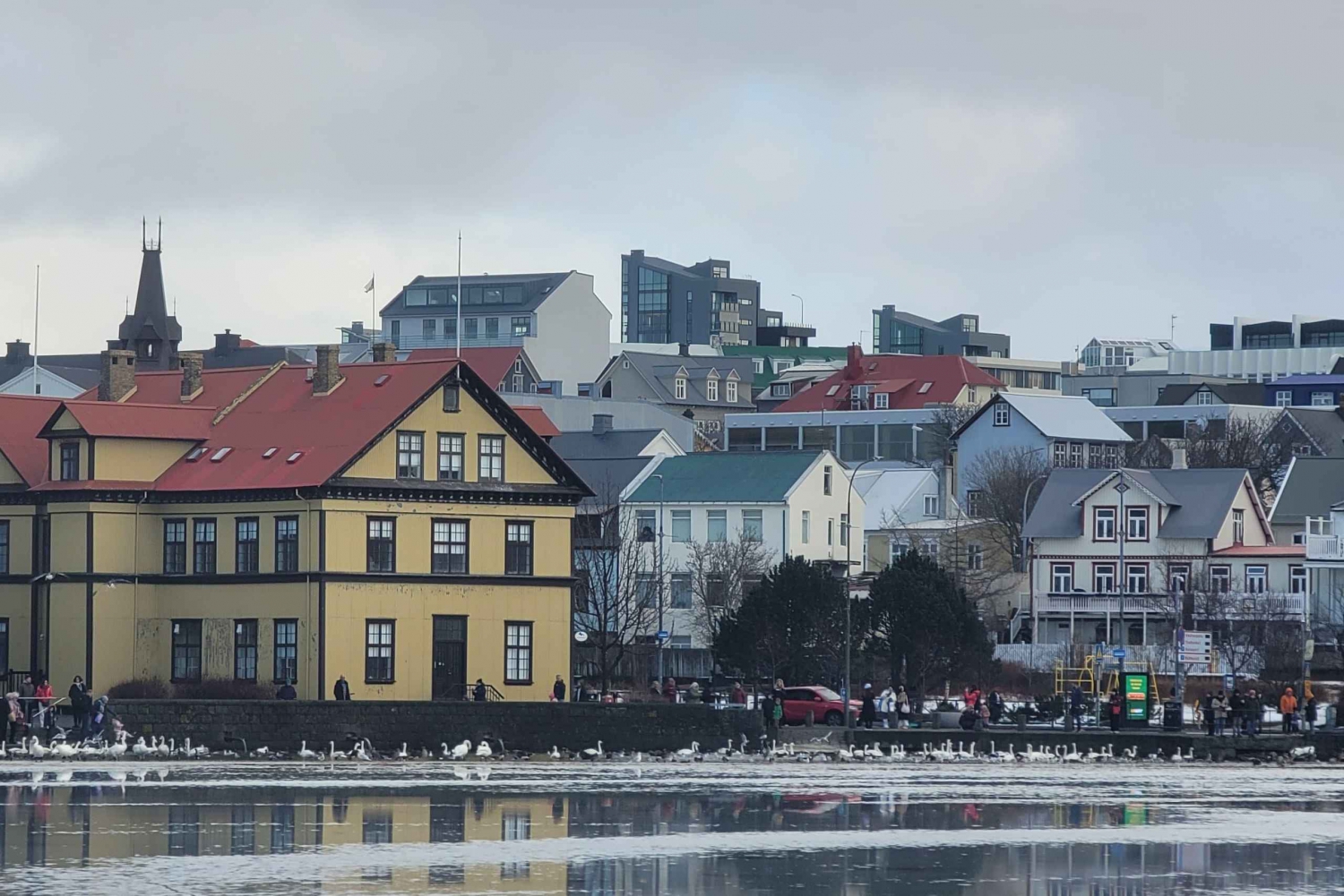Reykjavik: Tour privato della città
