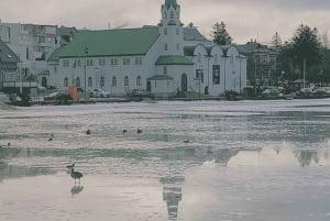 Reykjavik: Private Tour durch die Stadt