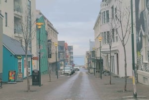 Reykjavik: Stadsrondleiding voor privégebruik