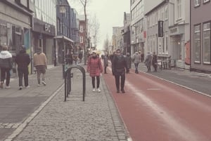 Reykjavik: Prywatna wycieczka po mieście