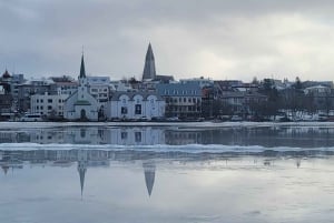 Reykjavik : Visite privée de la ville