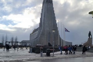 Reykjavik : Visite privée de la ville