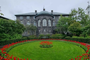 Reykjavik: City Walking tour in Small Group with Local Guide