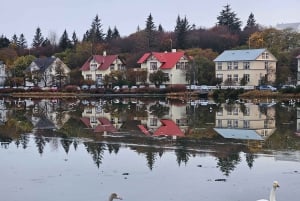 Reykjavik: City Walking tour in Small Group with Local Guide