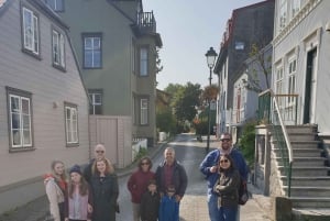 Reykjavik: City Walking tour in Small Group with Local Guide