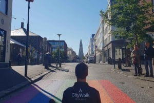 Reykjavik: City Walking tour in Small Group with Local Guide