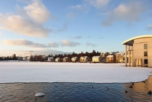 Reykjavik: City Walking tour in Small Group with Local Guide