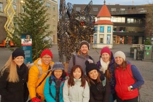 Reykjavik: City Walking tour in Small Group with Local Guide
