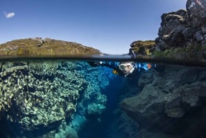 Reykjavik Combo : Cercle d'or et plongée avec masque et tuba à la fissure de Silfra