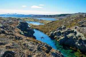 Reykjavik: Vandring genom lavagrottor och snorkling i Silfra