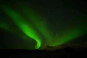 Reykjavik Combo: Costa meridionale, escursione sul ghiacciaio e aurora boreale