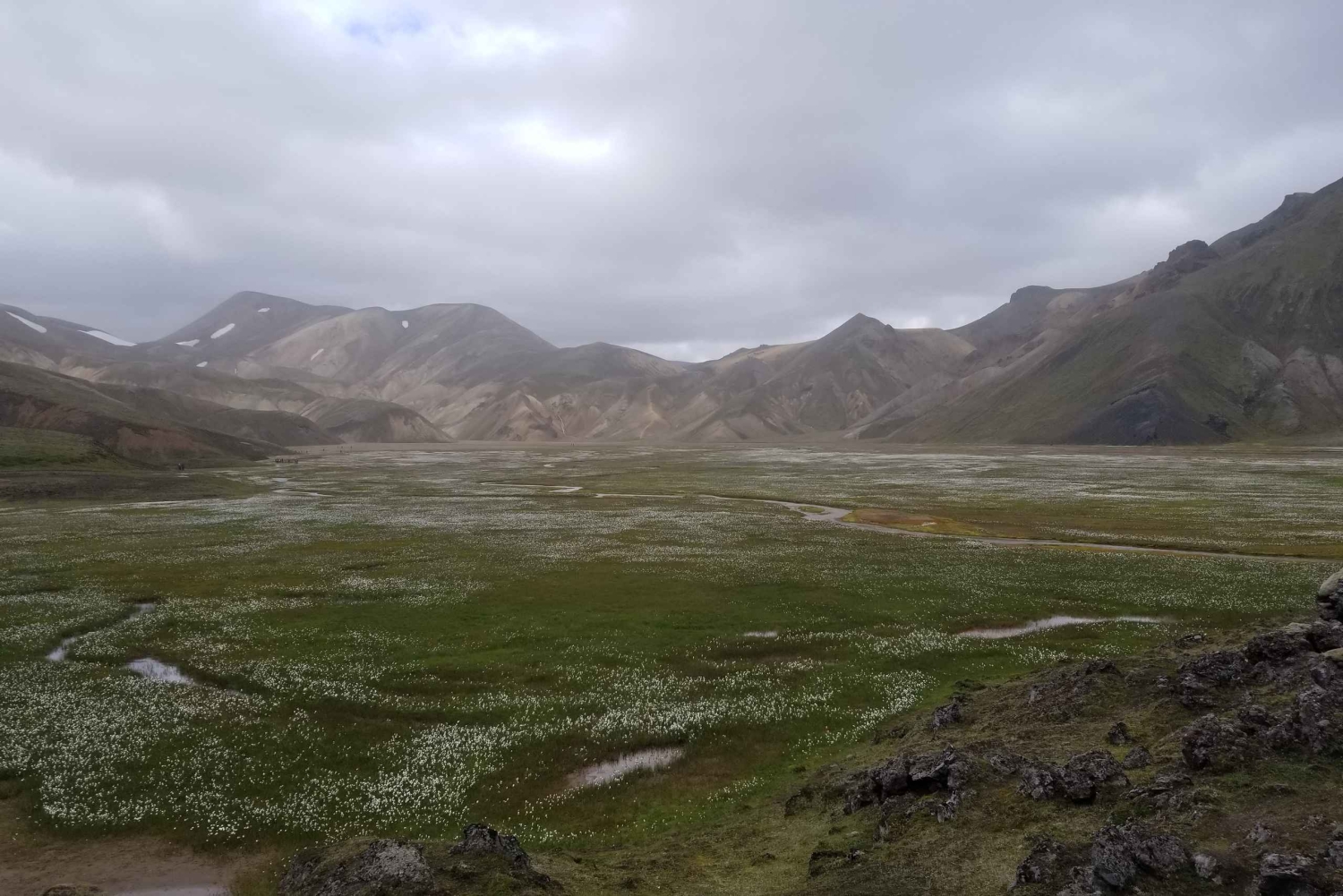 Reykjavik: Skreddersydd dagstur