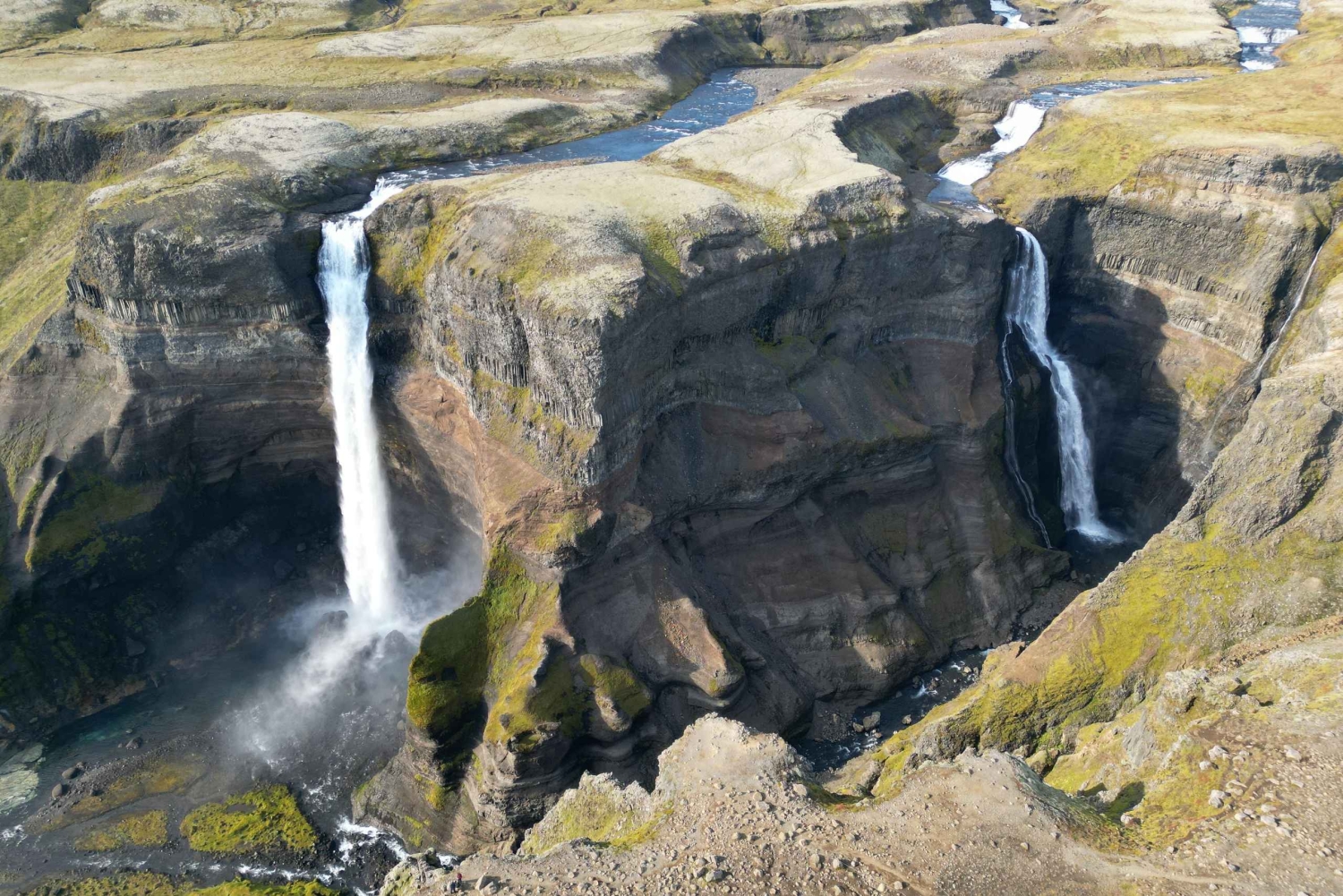 Reykjavik: Skreddersydd dagstur