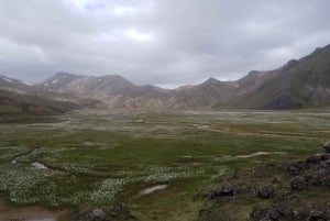 Reykjavik: Custom Adventure Day Tour