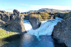 Reykjavik: Skreddersydd dagstur