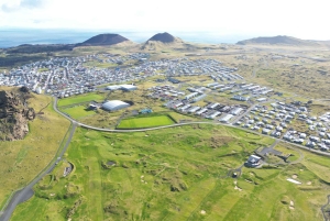 Reykjavik: Skreddersydd dagstur