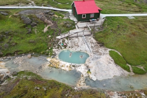 Reykjavik: Skreddersydd dagstur